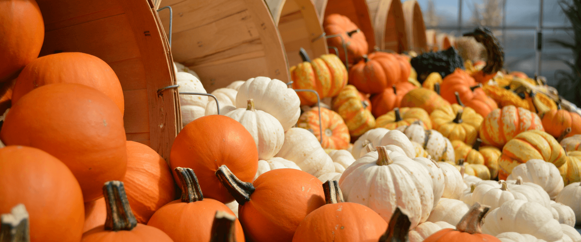 October 2019 Compliance Updates